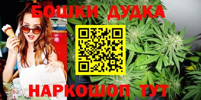 гидра Можга