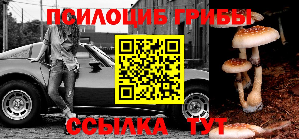 Псилоцибиновые грибы Cubensis Славгород