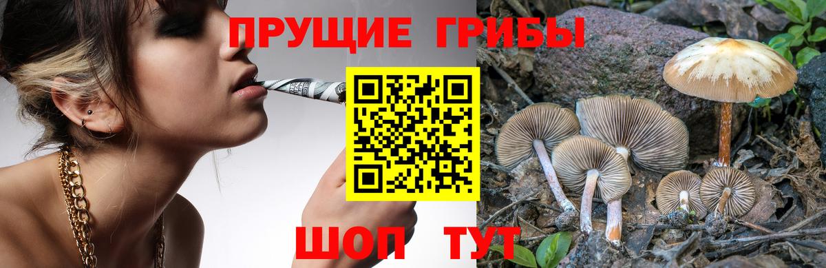 Славгород  Галлюциногенные грибы GOLDEN TEACHER  Псилоцибиновые грибы MAGIC MUSHROOMS  Вход с VPN 